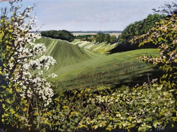 Peter Ainsworth, Art Exhibition, Burton Constable Hall, Hull, East Yorkshire